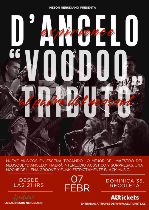 D´ANGELO Experience